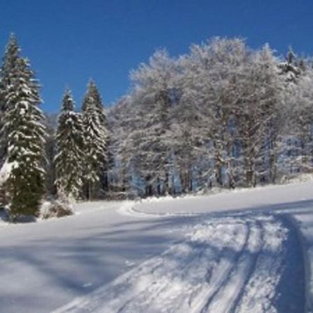 Apartmány Polevsko Esterno foto